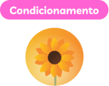 Condicionamento