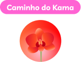 Caminho do Kama