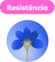Resistência